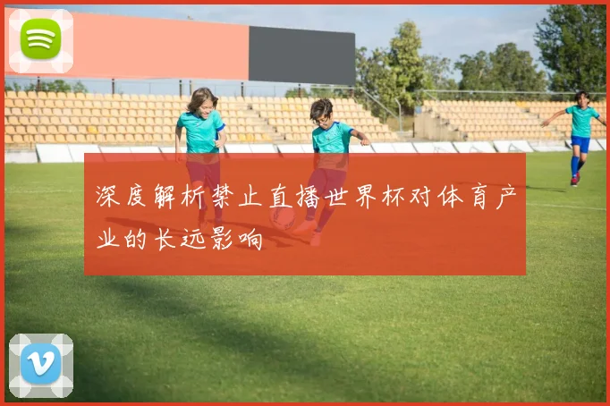 深度解析禁止直播世界杯对体育产业的长远影响