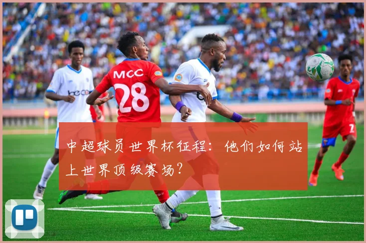 中超球员世界杯征程：他们如何站上世界顶级赛场？