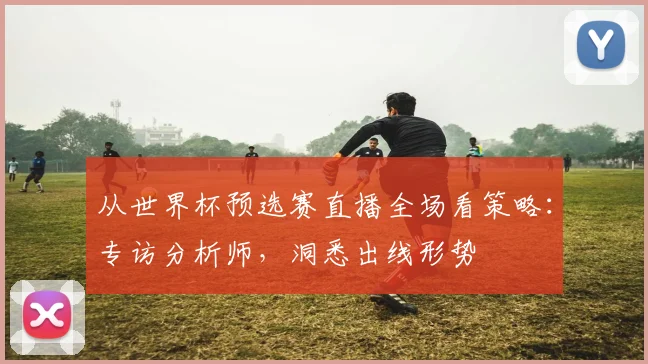 从世界杯预选赛直播全场看策略：专访分析师，洞悉出线形势