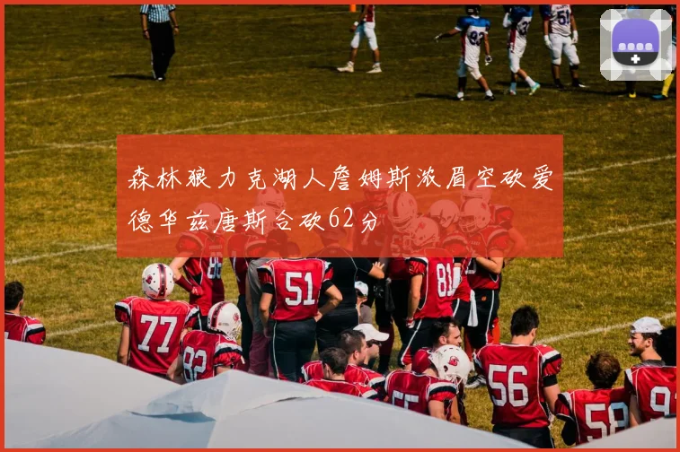 森林狼力克湖人詹姆斯浓眉空砍爱德华兹唐斯合砍62分