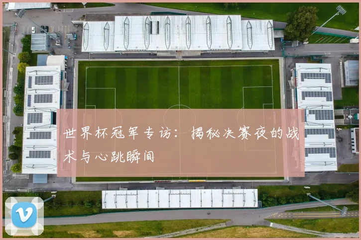 世界杯冠军专访：揭秘决赛夜的战术与心跳瞬间