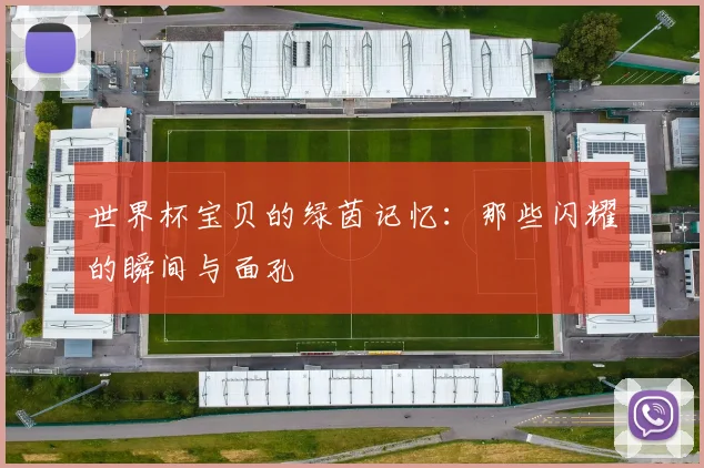 世界杯宝贝的绿茵记忆：那些闪耀的瞬间与面孔