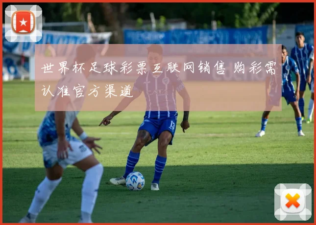 世界杯足球彩票互联网销售 购彩需认准官方渠道