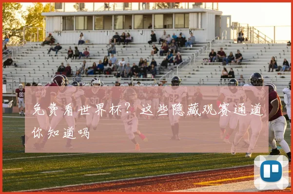 免费看世界杯？这些隐藏观赛通道你知道吗