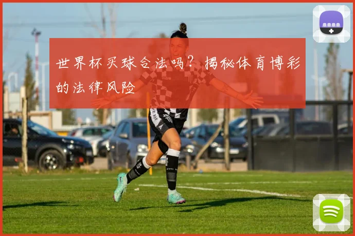 世界杯买球合法吗？揭秘体育博彩的法律风险