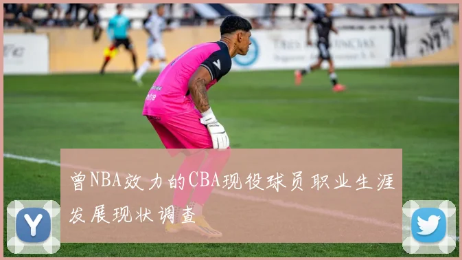 曾NBA效力的CBA现役球员职业生涯发展现状调查