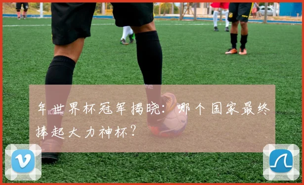年世界杯冠军揭晓：哪个国家最终捧起大力神杯？