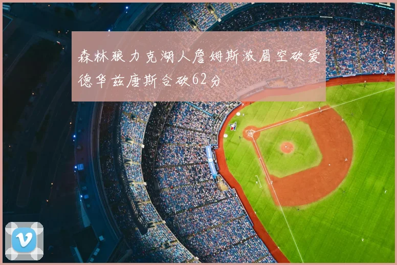 森林狼力克湖人詹姆斯浓眉空砍爱德华兹唐斯合砍62分