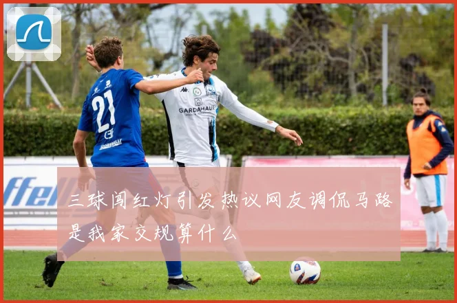 三球闯红灯引发热议网友调侃马路是我家交规算什么