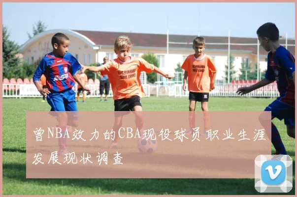 曾NBA效力的CBA现役球员职业生涯发展现状调查