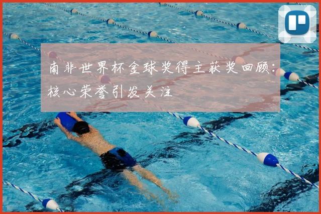 南非世界杯金球奖得主获奖回顾：核心荣誉引发关注