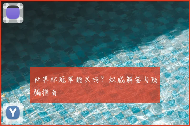 世界杯冠军能买吗？权威解答与防骗指南