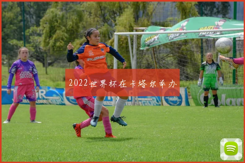 2022世界杯在卡塔尔举办
