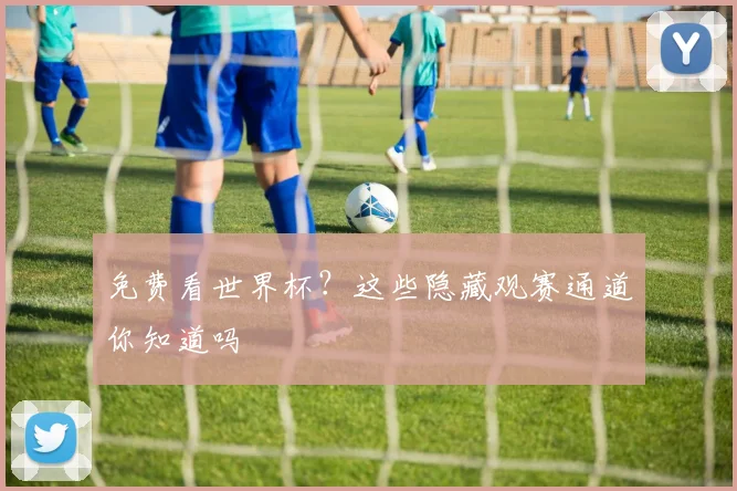 免费看世界杯？这些隐藏观赛通道你知道吗